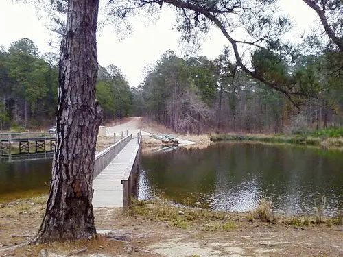 Harmon Lake