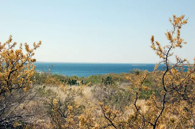 Lake Amistad