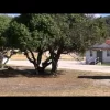 Video Tour of Camp San Luis Obispo RV Park, CA